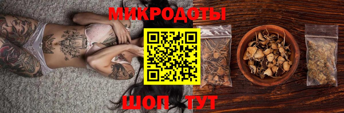 Псилоцибиновые грибы Psilocybe  наркота  Гагарин  Вход с VPN 